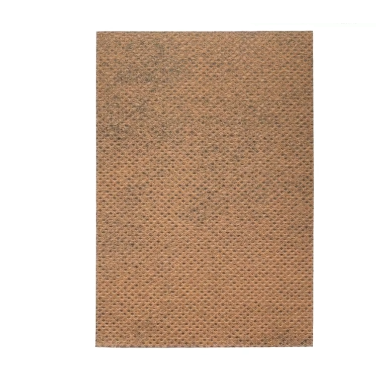 foto stonožka 6